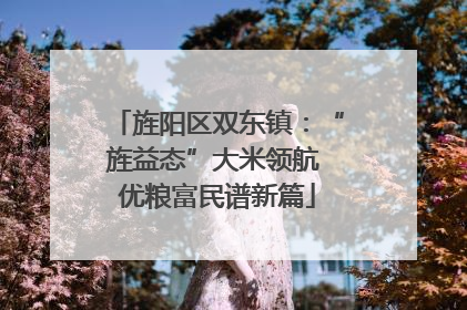 旌阳区双东镇：“旌益态”大米领航 优粮富民谱新篇