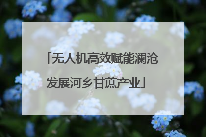无人机高效赋能澜沧发展河乡甘蔗产业