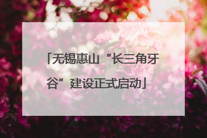 无锡惠山“长三角牙谷”建设正式启动