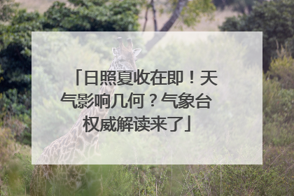 日照夏收在即！天气影响几何？气象台权威解读来了
