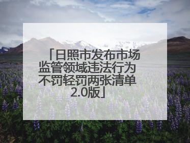 日照市发布市场监管领域违法行为不罚轻罚两张清单2.0版