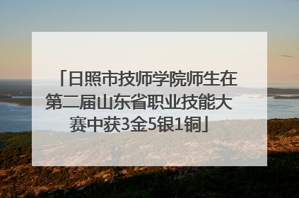 日照市技师学院师生在第二届山东省职业技能大赛中获3金5银1铜