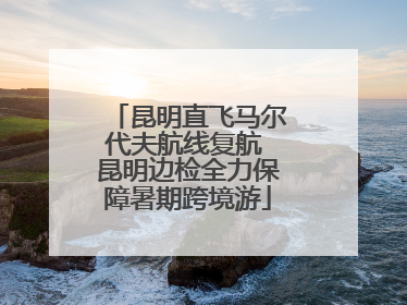 昆明直飞马尔代夫航线复航 昆明边检全力保障暑期跨境游