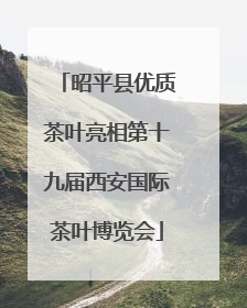 昭平县优质茶叶亮相第十九届西安国际茶叶博览会