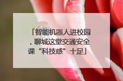 智能机器人进校园，聊城这堂交通安全课“科技感”十足