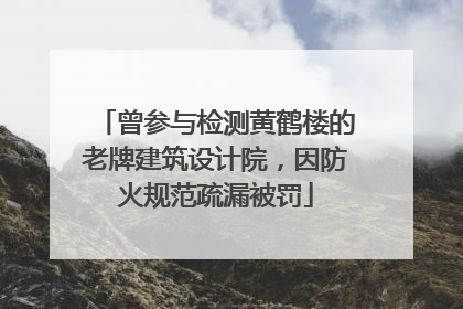 曾参与检测黄鹤楼的老牌建筑设计院，因防火规范疏漏被罚