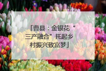 曹县：金银花“三产融合”托起乡村振兴致富梦