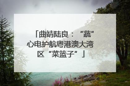曲靖陆良：“蔬”心电护航粤港澳大湾区“菜篮子”