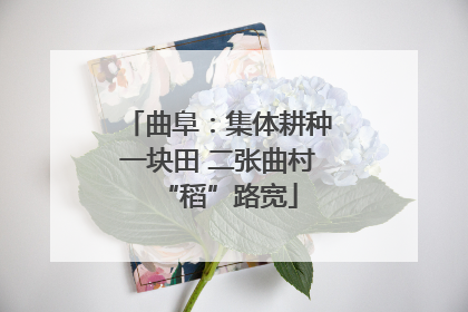 曲阜：集体耕种一块田 二张曲村“稻”路宽