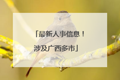 最新人事信息！涉及广西多市