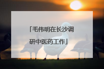 毛伟明在长沙调研中医药工作