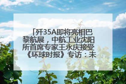 歼35A即将亮相巴黎航展，中航工业沈阳所首席专家王永庆接受《环球时报》专访：未来数量可以有很多
