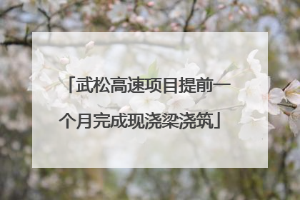 武松高速项目提前一个月完成现浇梁浇筑