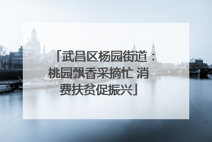 武昌区杨园街道：桃园飘香采摘忙 消费扶贫促振兴