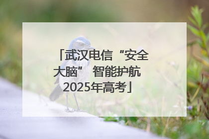 武汉电信“安全大脑” 智能护航2025年高考