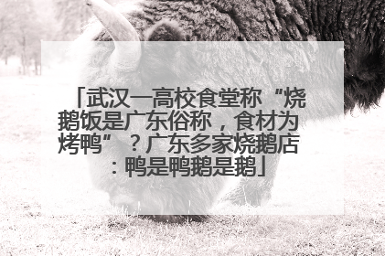 武汉一高校食堂称“烧鹅饭是广东俗称，食材为烤鸭”？广东多家烧鹅店：鸭是鸭鹅是鹅
