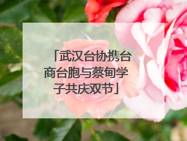 武汉台协携台商台胞与蔡甸学子共庆双节