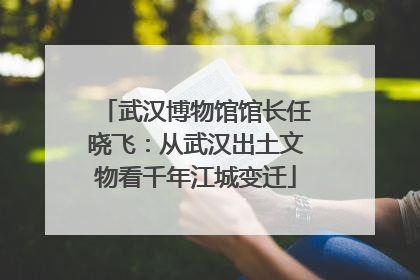 武汉博物馆馆长任晓飞：从武汉出土文物看千年江城变迁