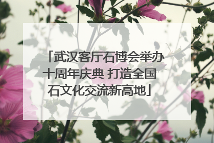 武汉客厅石博会举办十周年庆典 打造全国石文化交流新高地