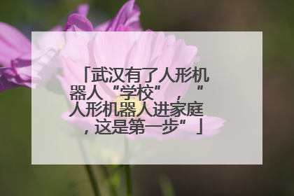 武汉有了人形机器人“学校”，“人形机器人进家庭，这是第一步”
