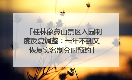 桂林象鼻山景区入园制度反复调整：一年不到又恢复实名制分时预约