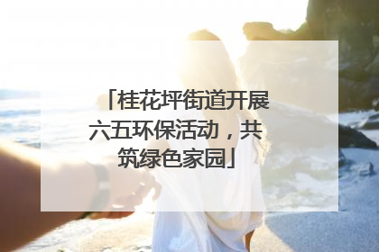桂花坪街道开展六五环保活动，共筑绿色家园