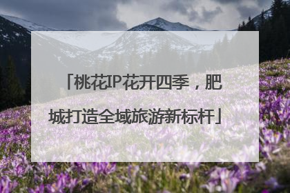 桃花IP花开四季，肥城打造全域旅游新标杆