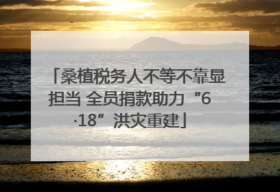 桑植税务人不等不靠显担当 全员捐款助力“6·18”洪灾重建
