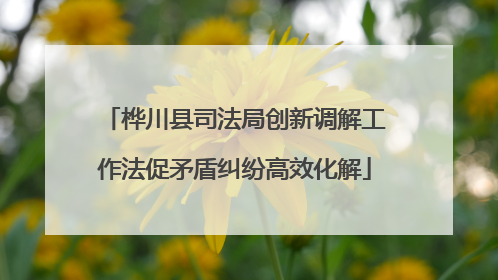 桦川县司法局创新调解工作法促矛盾纠纷高效化解
