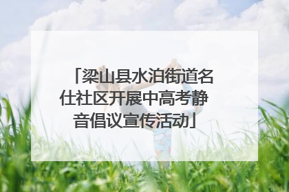 梁山县水泊街道名仕社区开展中高考静音倡议宣传活动