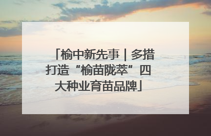 榆中新先事｜多措打造“榆苗陇萃”四大种业育苗品牌
