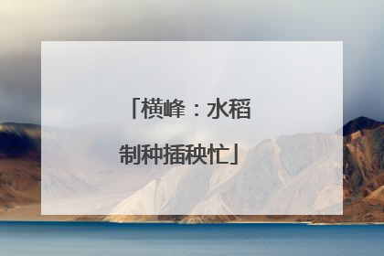 横峰：水稻制种插秧忙