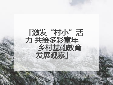 激发“村小”活力 共绘多彩童年——乡村基础教育发展观察