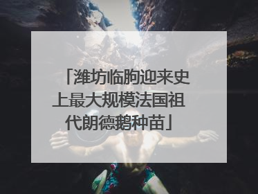 潍坊临朐迎来史上最大规模法国祖代朗德鹅种苗