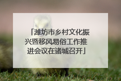 潍坊市乡村文化振兴暨移风易俗工作推进会议在诸城召开