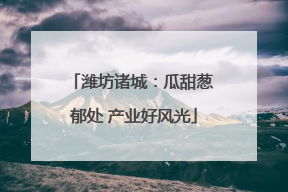 潍坊诸城：瓜甜葱郁处 产业好风光