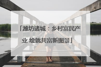 潍坊诸城：乡村富民产业 绘就共富新图景