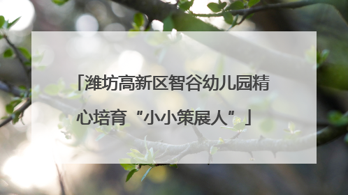潍坊高新区智谷幼儿园精心培育“小小策展人”