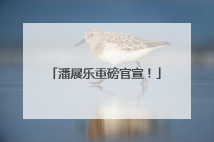 潘展乐重磅官宣！