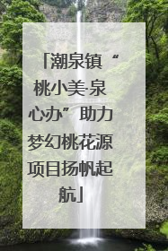 潮泉镇“桃小美·泉心办”助力梦幻桃花源项目扬帆起航