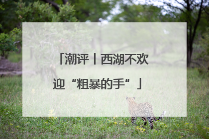 潮评丨西湖不欢迎“粗暴的手”