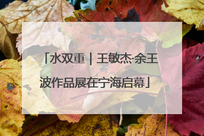 水双重｜王敏杰·余王波作品展在宁海启幕