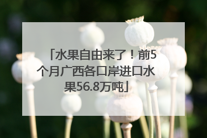 水果自由来了！前5个月广西各口岸进口水果56.8万吨