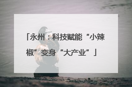 永州：科技赋能“小辣椒”变身“大产业”