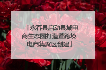 永春县启动县域电商生态圈打造暨跨境电商集聚区创建