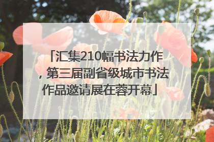 汇集210幅书法力作，第三届副省级城市书法作品邀请展在蓉开幕