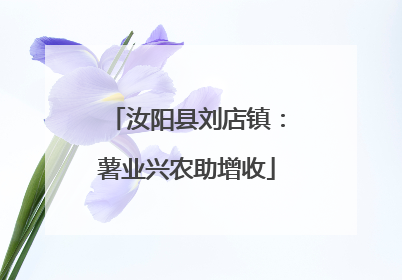 汝阳县刘店镇：薯业兴农助增收