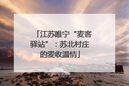 江苏睢宁“麦客驿站”：苏北村庄的麦收温情