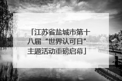 江苏省盐城市第十八届“世界认可日”主题活动重磅启幕