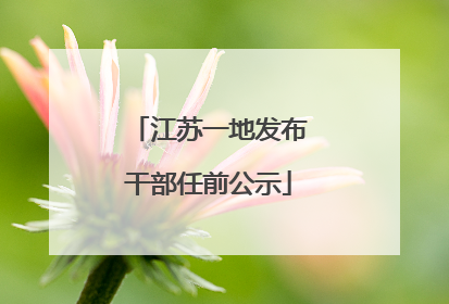 江苏一地发布干部任前公示